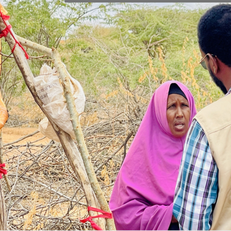 OCHA reported that Somalia and the Ethiopian highlands  remain in drought despite seasonal rains that caused flash  flooding.