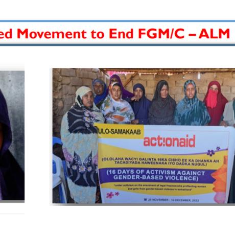 Support to the Africa-led Movement (ALM) to  end FGM/C' (5) years project has been established to  contribute to global efforts to achieve this vision. 